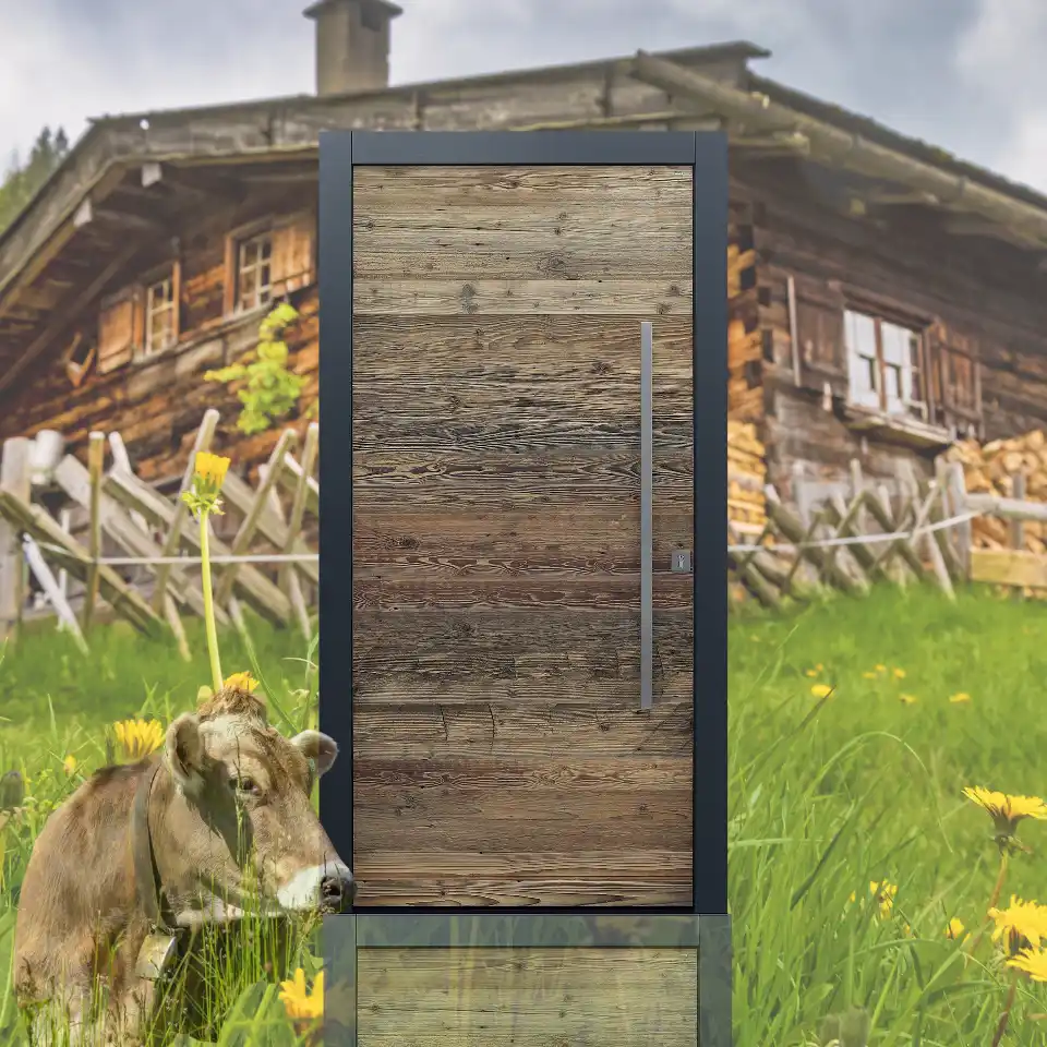 topic-premium-haustuer-holz-altholz