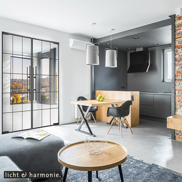 Loftelemente-Lofttüren-schwarz-Loftstil-lofttür-industrial